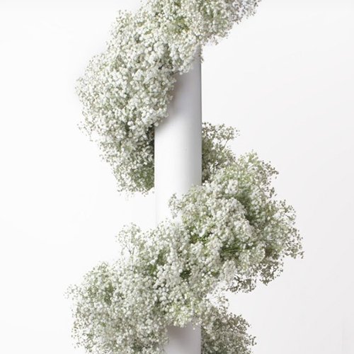 Indian Wedding Garlands Made Of Baby's Breath
