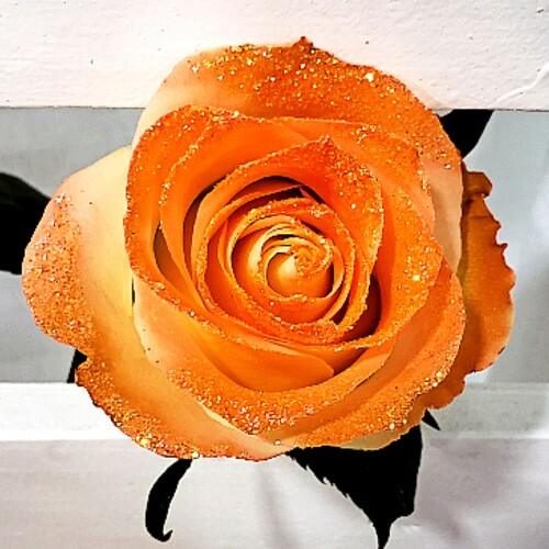 wholesale glitter rose bouquets