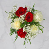 Winter 6-Stem Red and White Rose Bouquet