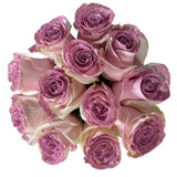 12 White Long Stem Roses with Pink Glitter Bouquet