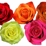 Rose Combo Box - 125 Stems