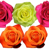 Rose Combo Box - 125 Stems