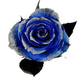 Blue Tinted Roses with Silver Glitter - Bulk