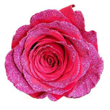 Dark Pink Roses with Pink Glitter - Bulk