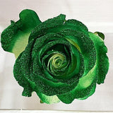 White Roses with Dark Green Glitter - Bulk