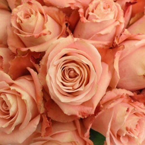 Peach Rose Bouquet