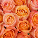 Peach Rose Bouquet