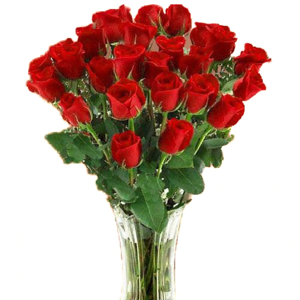 Red Rose Bouquet