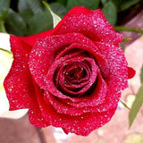 Red Roses with Clear Glitter - Bulk