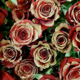 Red Roses with Gold Glitter - Bulk