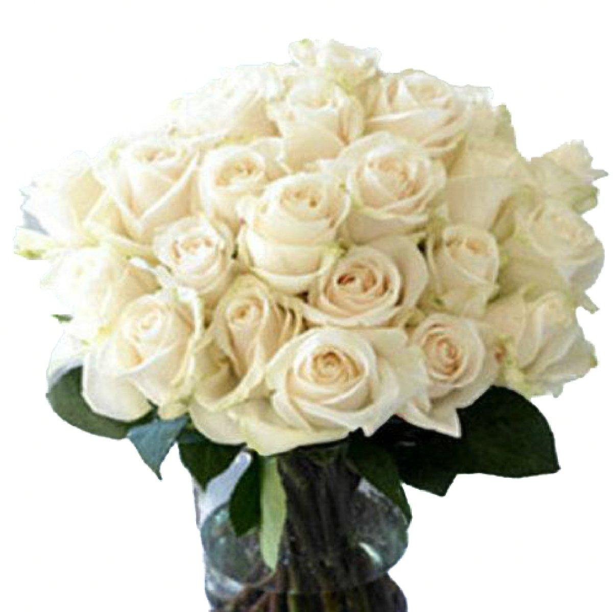 White Rose Bouquet