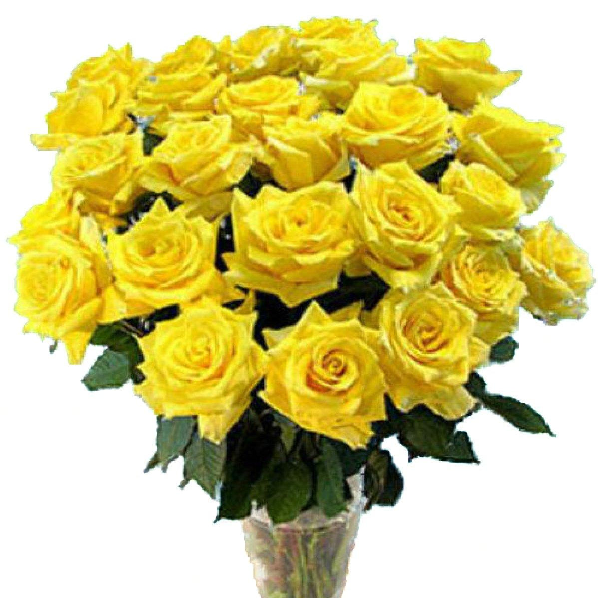 Yellow Rose Bouquet