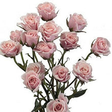 Load image into Gallery viewer, Pink Majolica Light Pink Spray Roses - 40cm - 48LongStems.com
