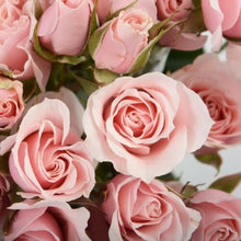 Load image into Gallery viewer, Pink Majolica Light Pink Spray Roses - 40cm - 48LongStems.com
